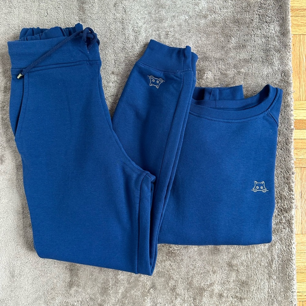 Blue Sweatshirt and Joggers Set